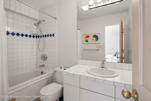 100 N Eigth St, Aspen, CO 81611 - Photo 22