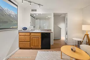 100 N Eigth St, Aspen, CO 81611 - Photo 26
