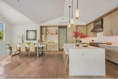 100 Park Avenue, Aspen, CO 81611 - Photo 8