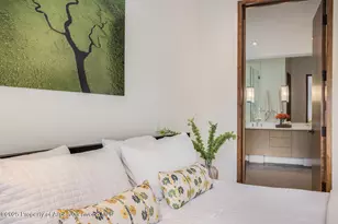 100 Park Ave, Aspen, CO 81611 - Photo 16