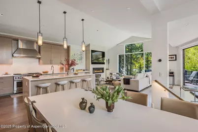 100 Park Avenue, Aspen, CO 81611 - Photo 10