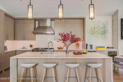 100 Park Avenue, Aspen, CO 81611 - Photo 2