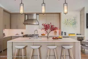 100 Park Ave, Aspen, CO 81611 - Photo 2