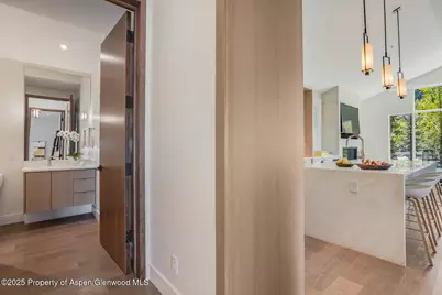 100 Park Avenue, Aspen, CO 81611 - Photo 20