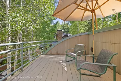 530 W Francis Street, Aspen, CO 81611 - Photo 44