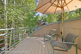 530 W Francis St, Aspen, CO 81611 - Photo 44
