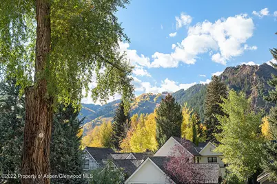530 W Francis Street, Aspen, CO 81611 - Photo 8