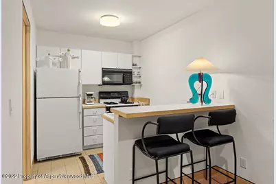 530 W Francis Street, Aspen, CO 81611 - Photo 36
