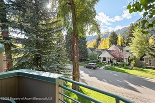 530 W Francis St, Aspen, CO 81611 - Photo 24