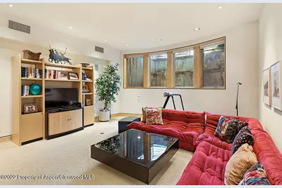 530 W Francis Street, Aspen, CO 81611 - Photo 28