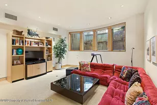 530 W Francis St, Aspen, CO 81611 - Photo 28