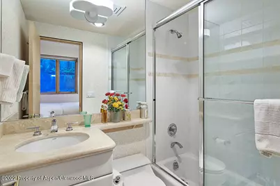 530 W Francis Street, Aspen, CO 81611 - Photo 32