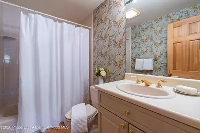679 Brush Creek Road, Aspen, CO 81611 - Photo 30
