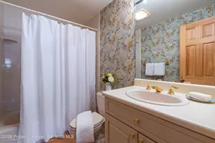 679 Brush Creek Rd, Aspen, CO 81611 - Photo 30