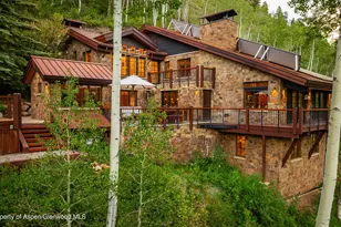 6770 Castle Creek Rd, Aspen, CO 81611 - Photo 12