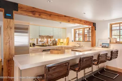 6770 Castle Creek Road, Aspen, CO 81611 - Photo 20