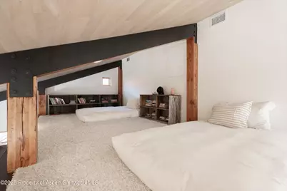 6770 Castle Creek Road, Aspen, CO 81611 - Photo 32