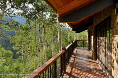 6770 Castle Creek Road, Aspen, CO 81611 - Photo 48