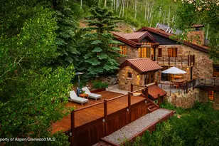 6770 Castle Creek Rd, Aspen, CO 81611 - Photo 10