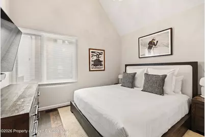 800 S Mill Street #6a, Aspen, CO 81611 - Photo 8