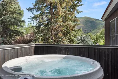939 E Cooper Avenue, Aspen, CO 81611 - Photo 24