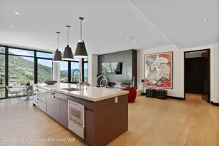 45 Wood Rd, Snowmass Village, CO 81615 - Photo 4