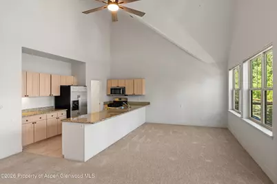 711 Evans Court, Basalt, CO 81621 - Photo 8