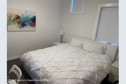 560 Spruce Street, Aspen, CO 81611 - Photo 30
