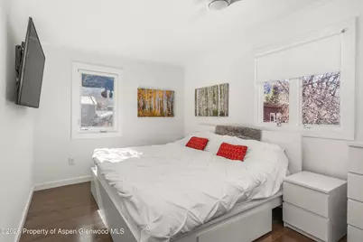 560 Spruce Street, Aspen, CO 81611 - Photo 20