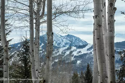 372 Sunnyside Lane, Aspen, CO 81611 - Photo 34