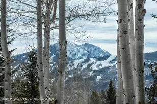 372 Sunnyside Ln, Aspen, CO 81611 - Photo 34