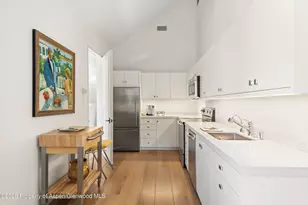 372 Sunnyside Ln, Aspen, CO 81611 - Photo 28