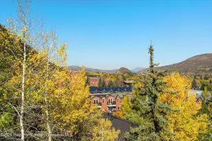 660 S Galena St, Aspen, CO 81611 - Photo 22