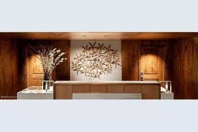 660 S Galena Street, Aspen, CO 81611 - Photo 28
