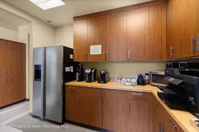 311 Main Street #101, Carbondale, CO 81623 - Photo 8