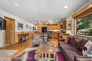400 Wood, Snowmass Village, CO 81615 - Photo 6