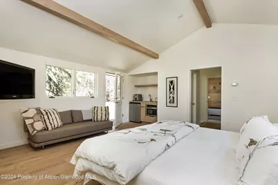 725 Castle Creek Drive, Aspen, CO 81611 - Photo 20