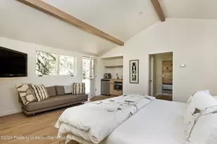 725 Castle Creek Dr, Aspen, CO 81611 - Photo 20