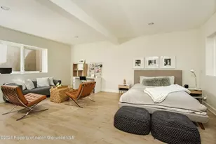 725 Castle Creek Dr, Aspen, CO 81611 - Photo 22