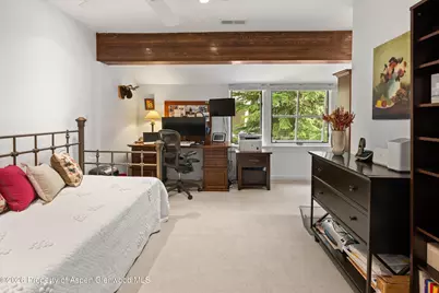 100 N 8th Street #19, Aspen, CO 81611 - Photo 22