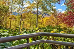 100 N 8th St, Aspen, CO 81611 - Photo 20