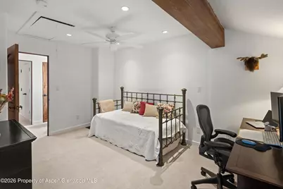100 N 8th Street #19, Aspen, CO 81611 - Photo 20