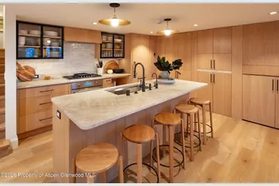 800 S Mill Street #201, Aspen, CO 81611 - Photo 4