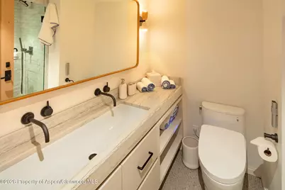 800 S Mill Street #201, Aspen, CO 81611 - Photo 10