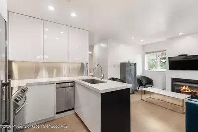 805 E Cooper Avenue #2, Aspen, CO 81611 - Photo 6