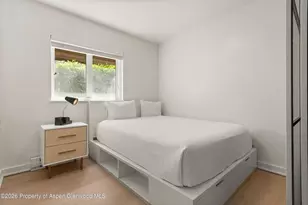 805 E Cooper Ave, Aspen, CO 81611 - Photo 8