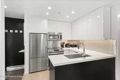 805 E Cooper Avenue #2, Aspen, CO 81611 - Photo 4