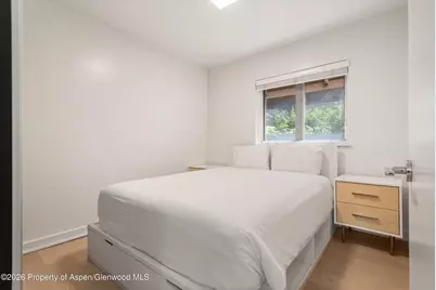 805 E Cooper Avenue #2, Aspen, CO 81611 - Photo 10