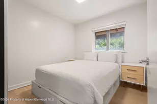 805 E Cooper Ave, Aspen, CO 81611 - Photo 10
