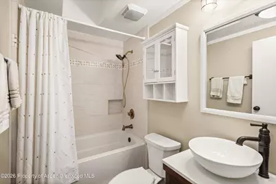 63 Badger Road, Carbondale, CO 81623 - Photo 18